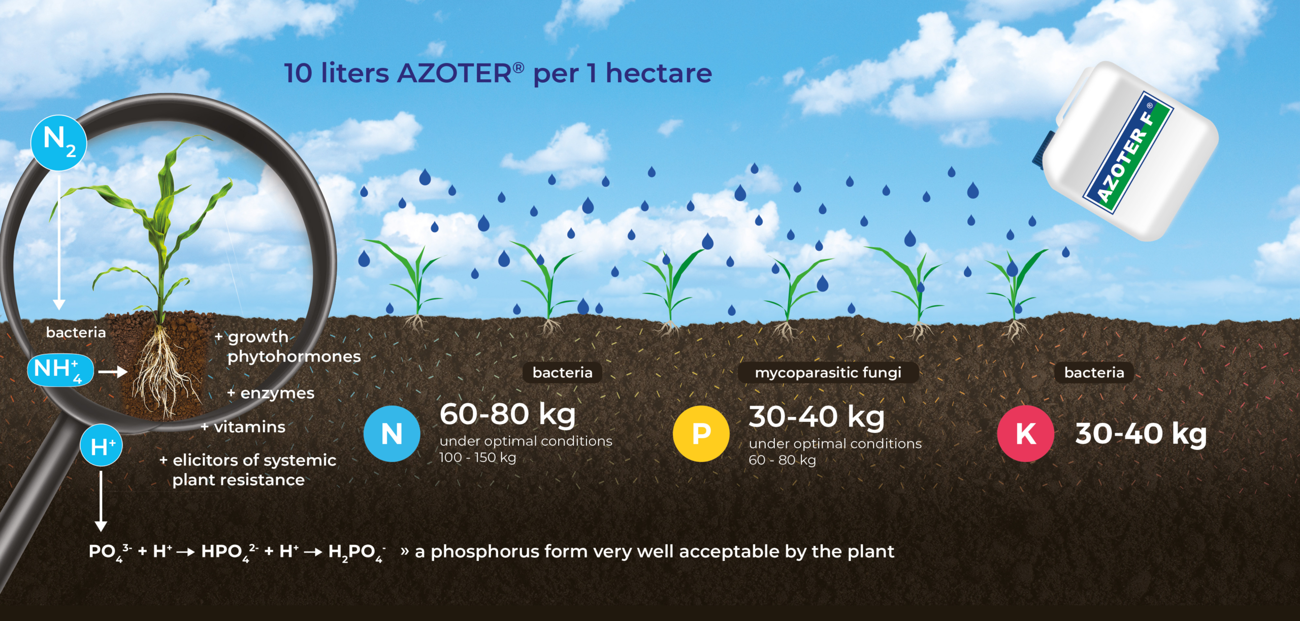 AZOTER_soil_EN AZOTER_soil_EN